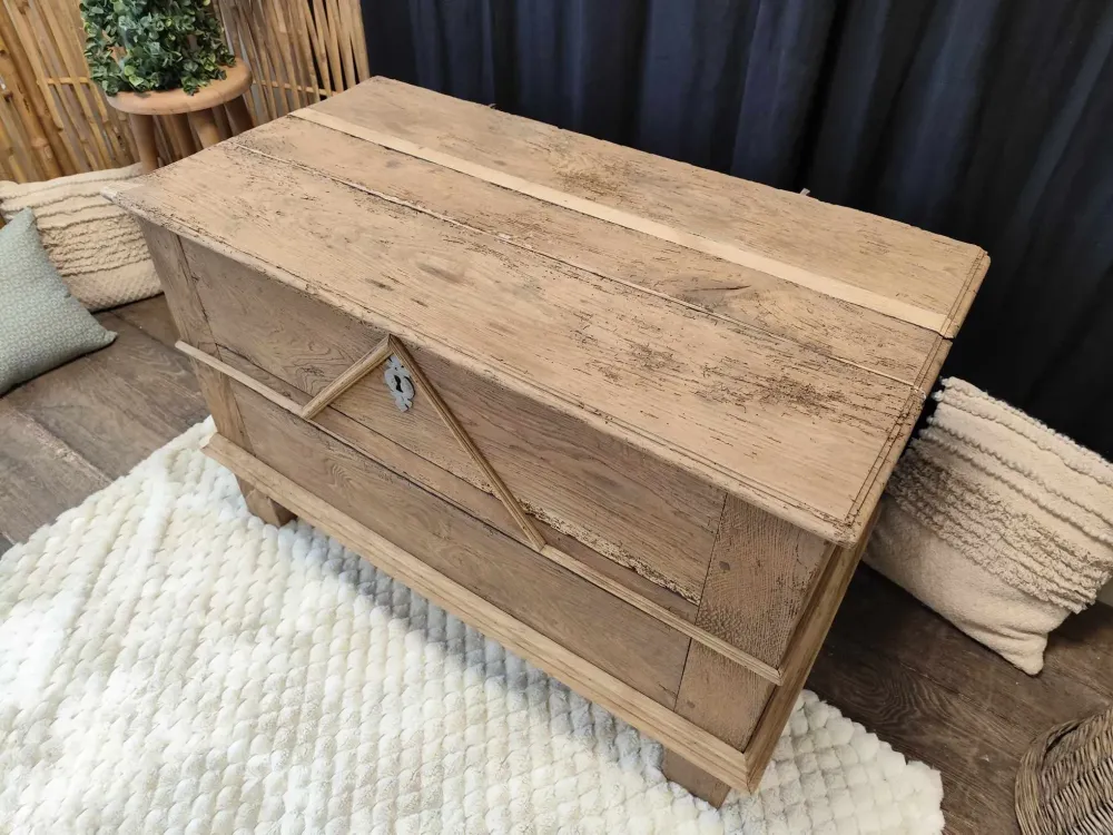 482946502_1377677080027562_9152544963050602490_n