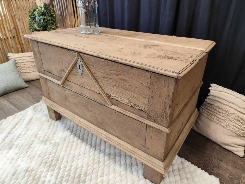 487904972_991513936459441_5481825687135138018_n