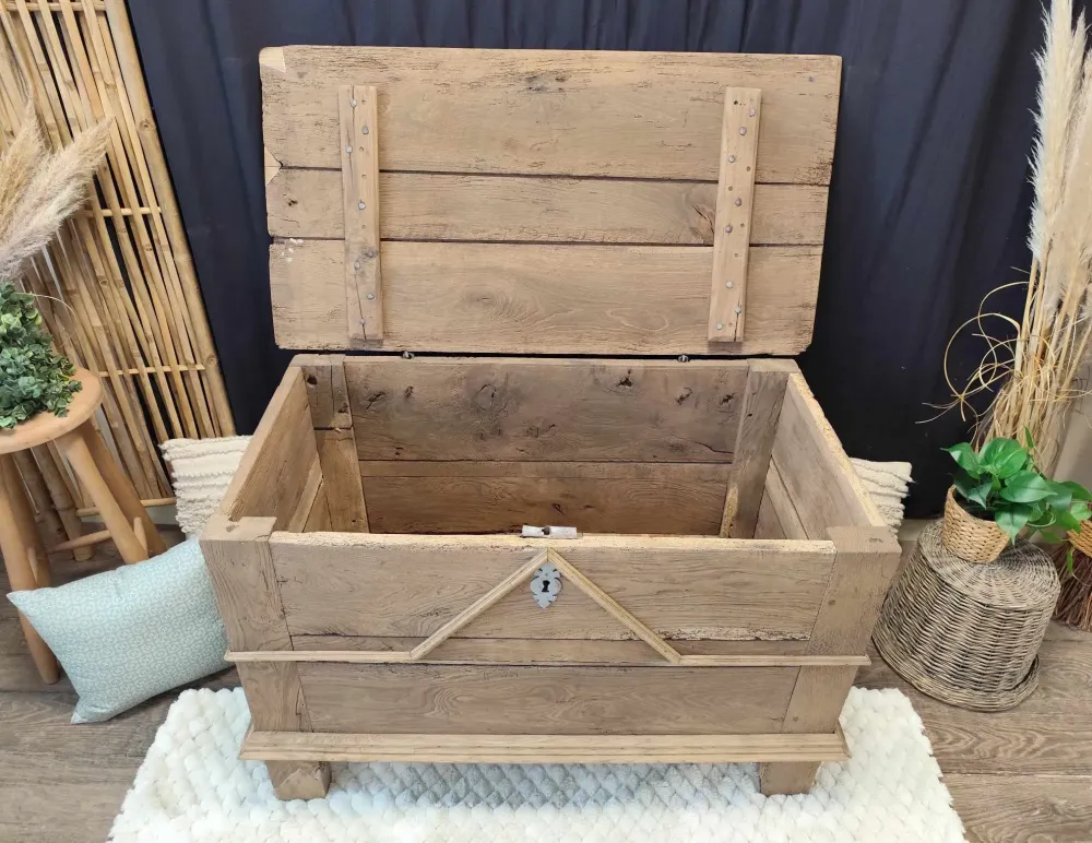 489071935_1437714347210685_1021750064026083824_n