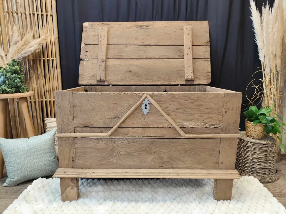 490271463_3853766028268212_2466938933922420692_n