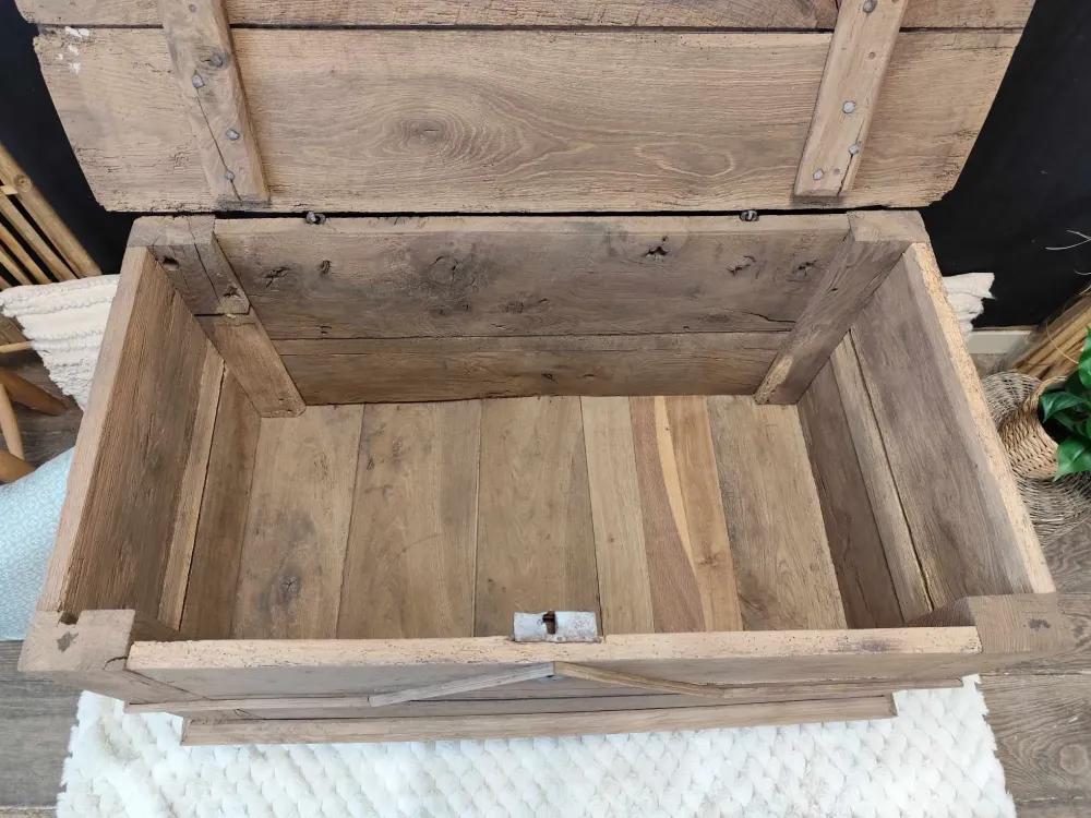 490767566_1483382179298212_8271633187852368599_n