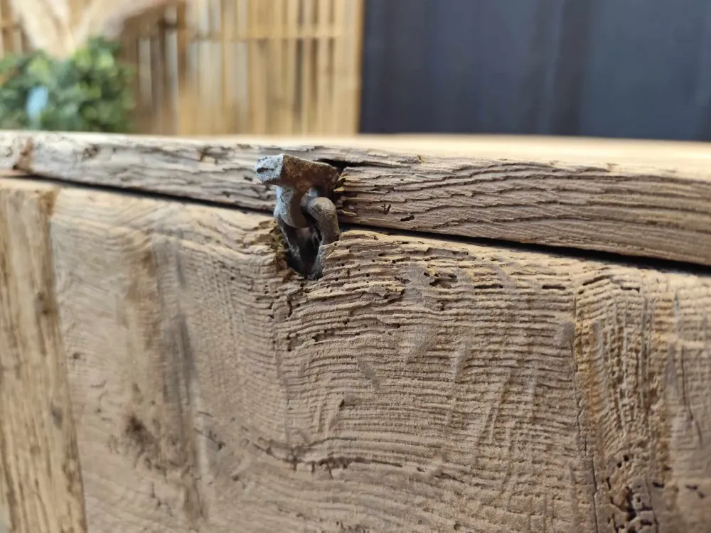 491005532_2039155206559952_3574642080737358853_n