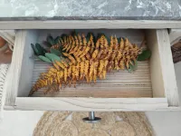 0076bce4-761f-4854-9252-a589db4bfc6a