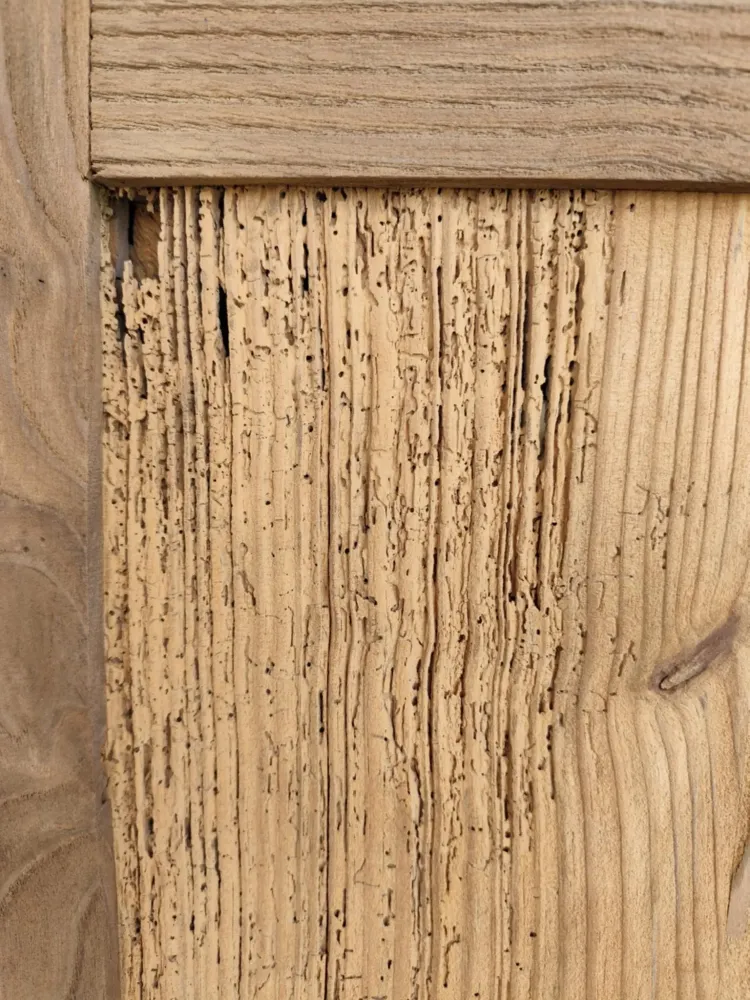 b7d99c85-fa13-41dd-8279-e71408a42d86