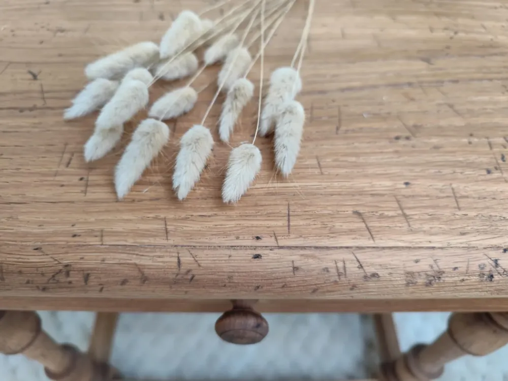 c0908790-fbb0-4b69-8d92-abc8abf92f45