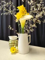 6dd00853-4c13-4fe5-abd0-5af11c060eef